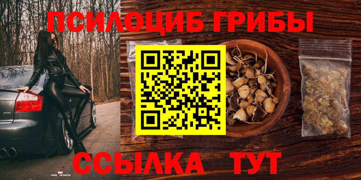 Псилоцибиновые грибы ЛСД  Псилоцибиновые грибы мицелий  даркнет сайт  Куйбышев  Вход с VPN 