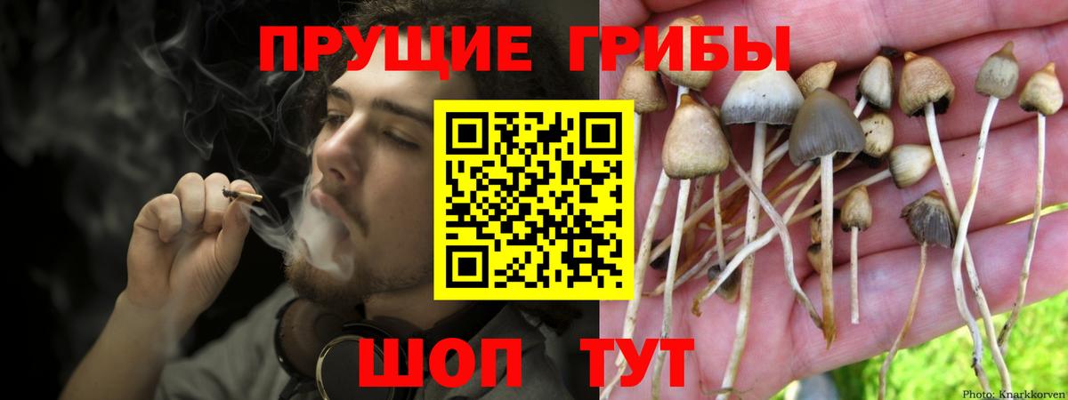 Галлюциногенные грибы ЛСД Куйбышев